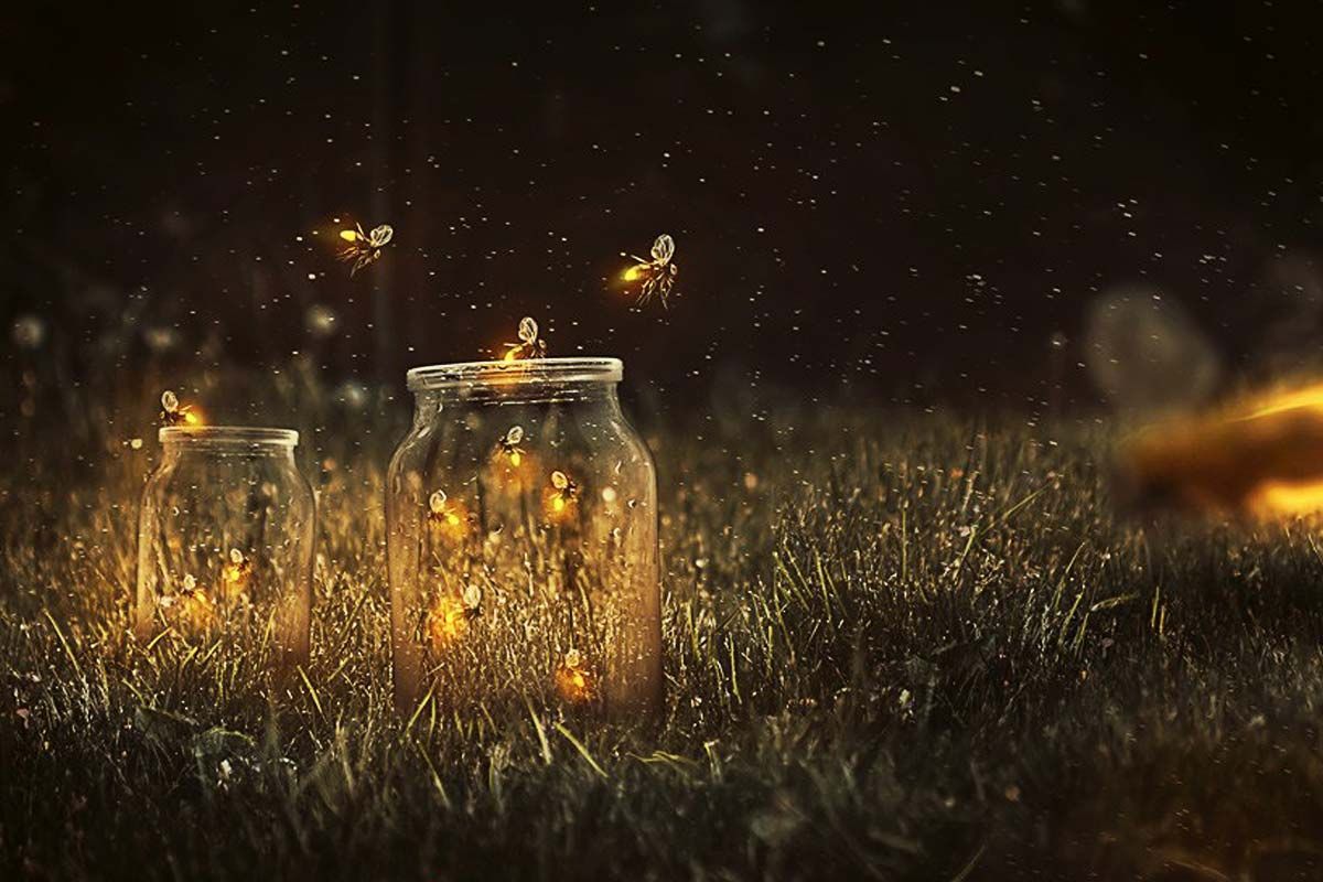 Fireflies glow around glass jars in a grassy field at dusk.