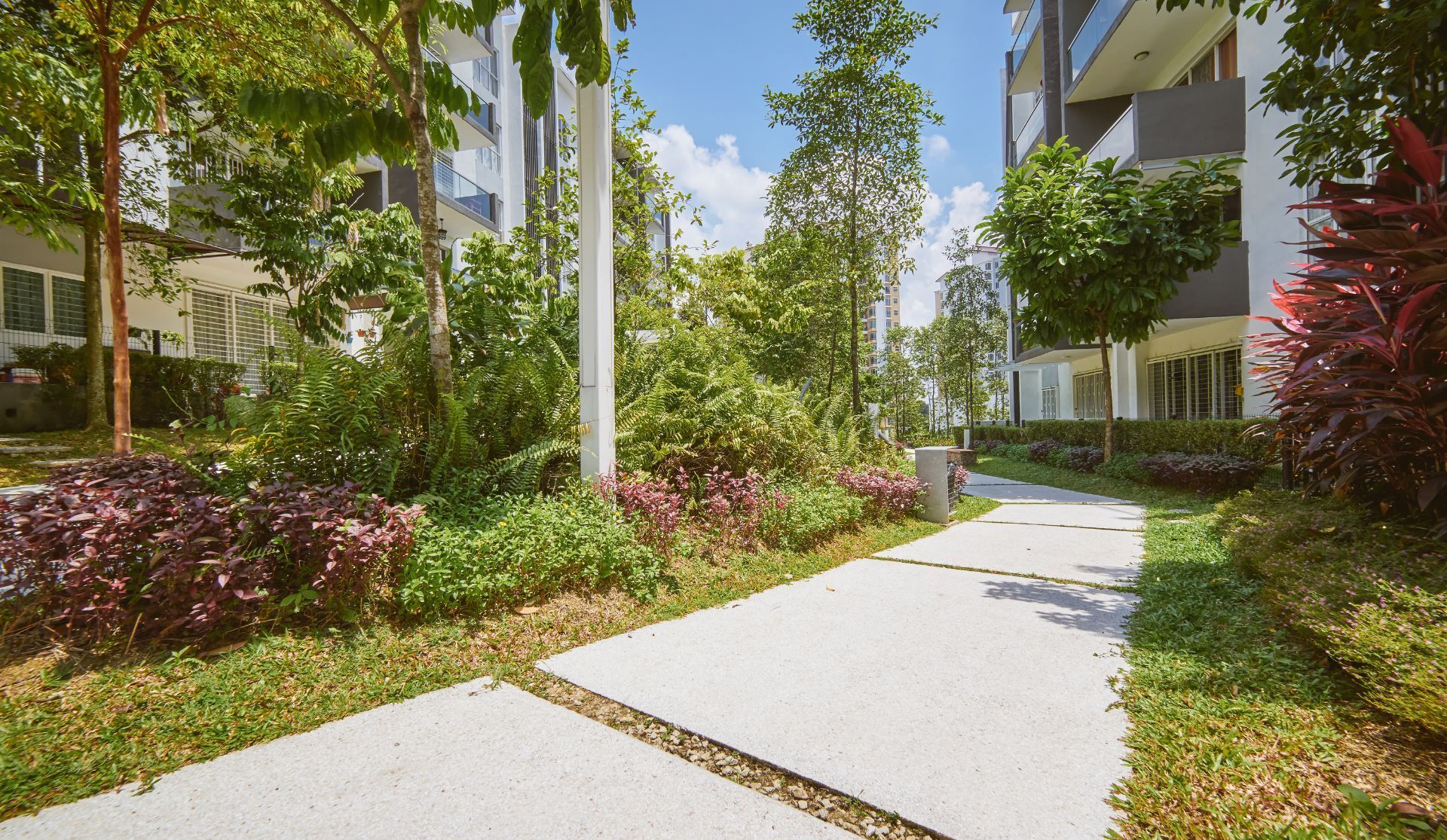 Sunlit apartment courtyard walkway with lush landscaping and modern buildings