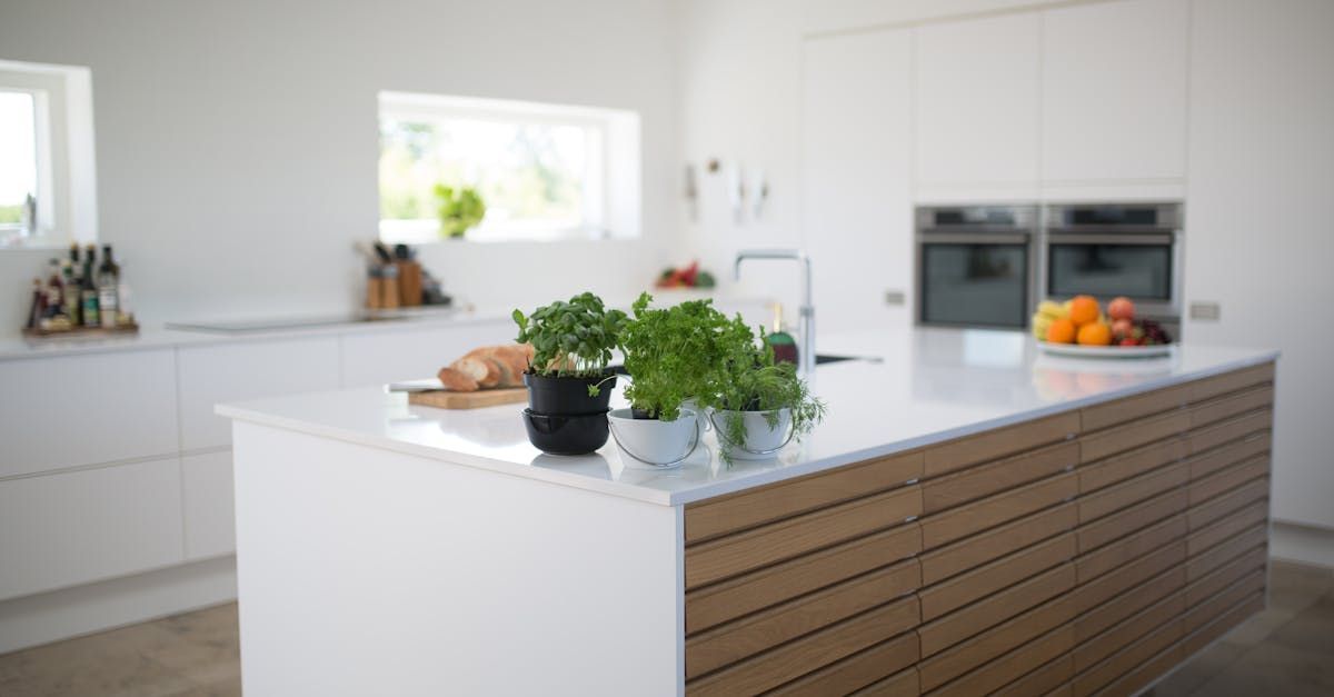 Bright modern kitchen with white cabinets, wooden island, and bowls of fresh produce