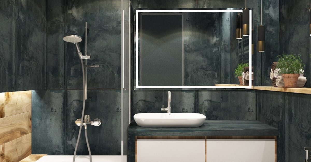 Modern bathroom with black walls, walk-in shower, vanity, mirror, and a small plant on the shelf