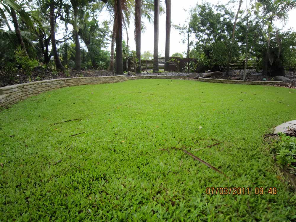 Large Landscaping Lawn With Trees In The Background — Austen Landscaping & Earthmoving in Deeragun, QLD