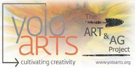 Volo Arts logo with “The Art & AG Project” over warm orange-yellow abstract background