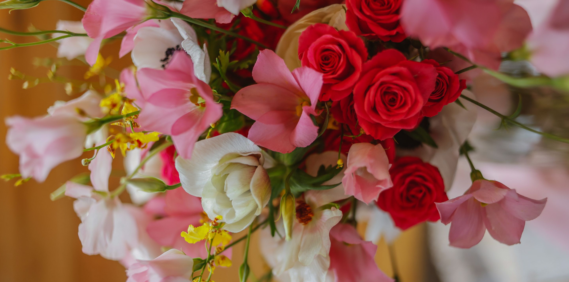 Pink and red flowers in a bouquet with white blossoms against a warm background