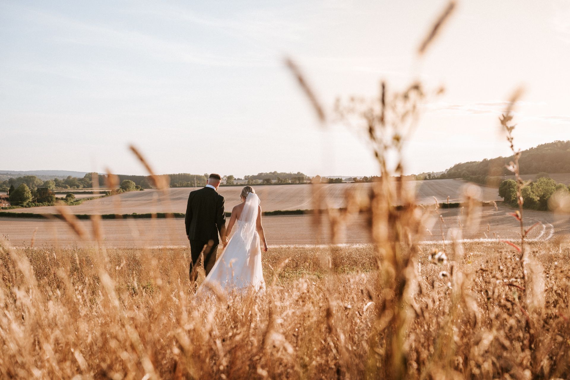 Couple in formal attire walking through a golden field at sunset