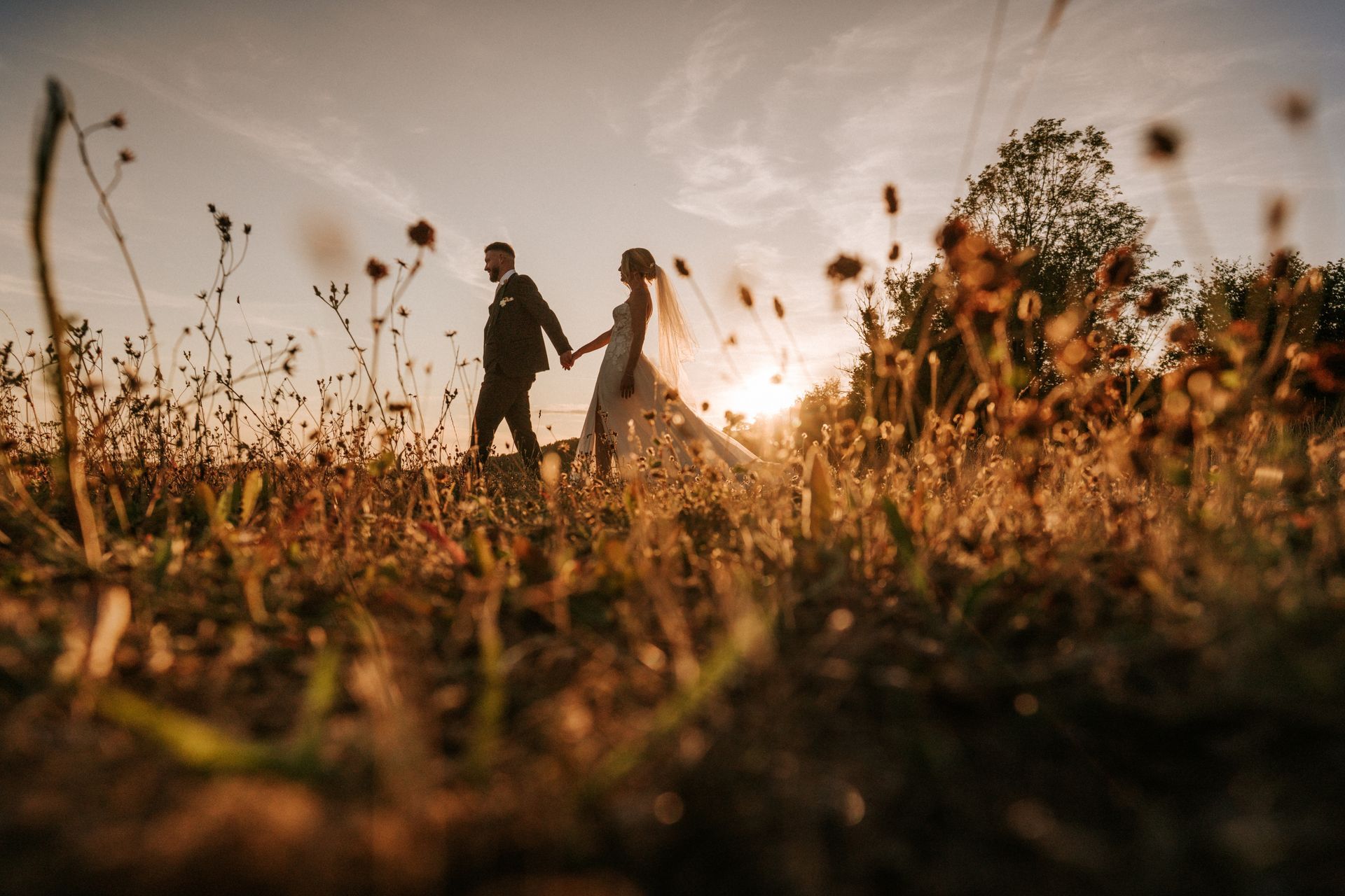 Two people walking hand in hand through a sunlit field at sunset