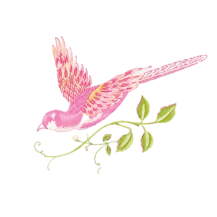 Pink and yellow bird with outstretched wings flying above a green leafy branch