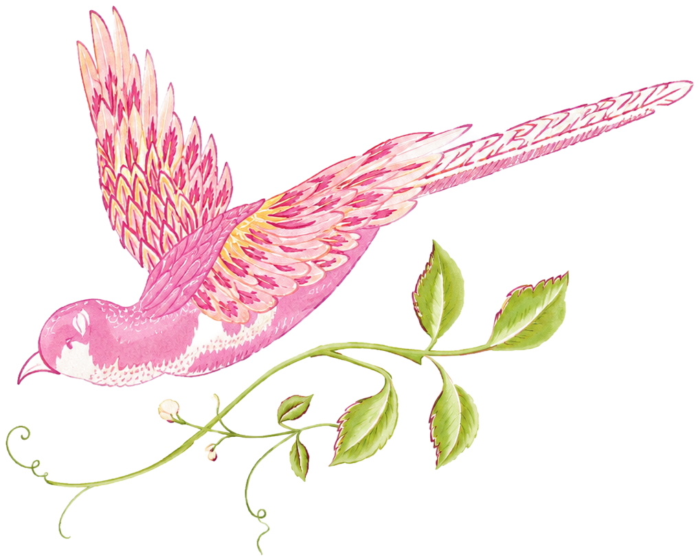 Pink bird flying above a green vine with leaves and tendrils
