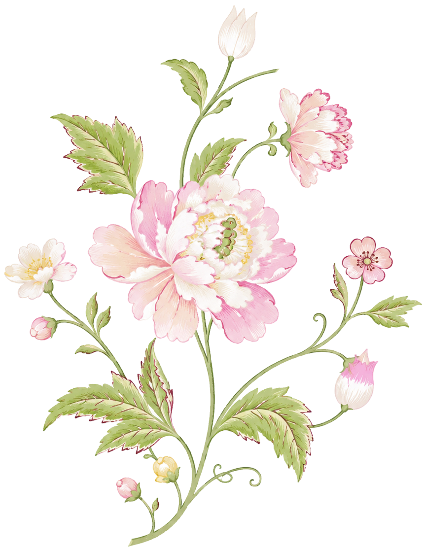 Watercolor pink and white flowers with green leaves on a white background