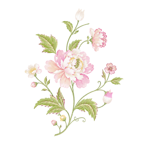 Delicate pink and white watercolor flowers with green leaves on a white background