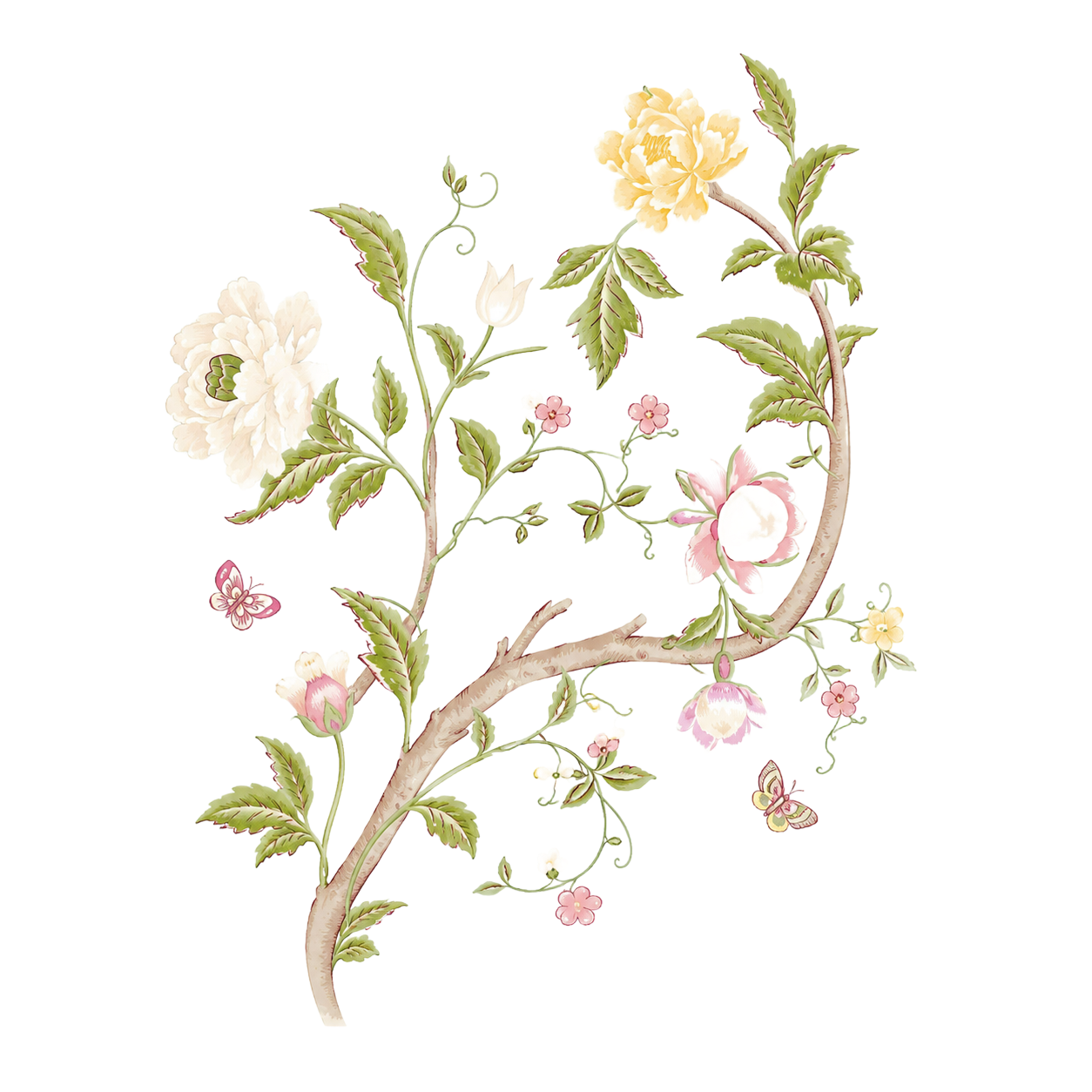 Delicate watercolor floral branch with white, yellow, and pink blossoms and green leaves on a white background