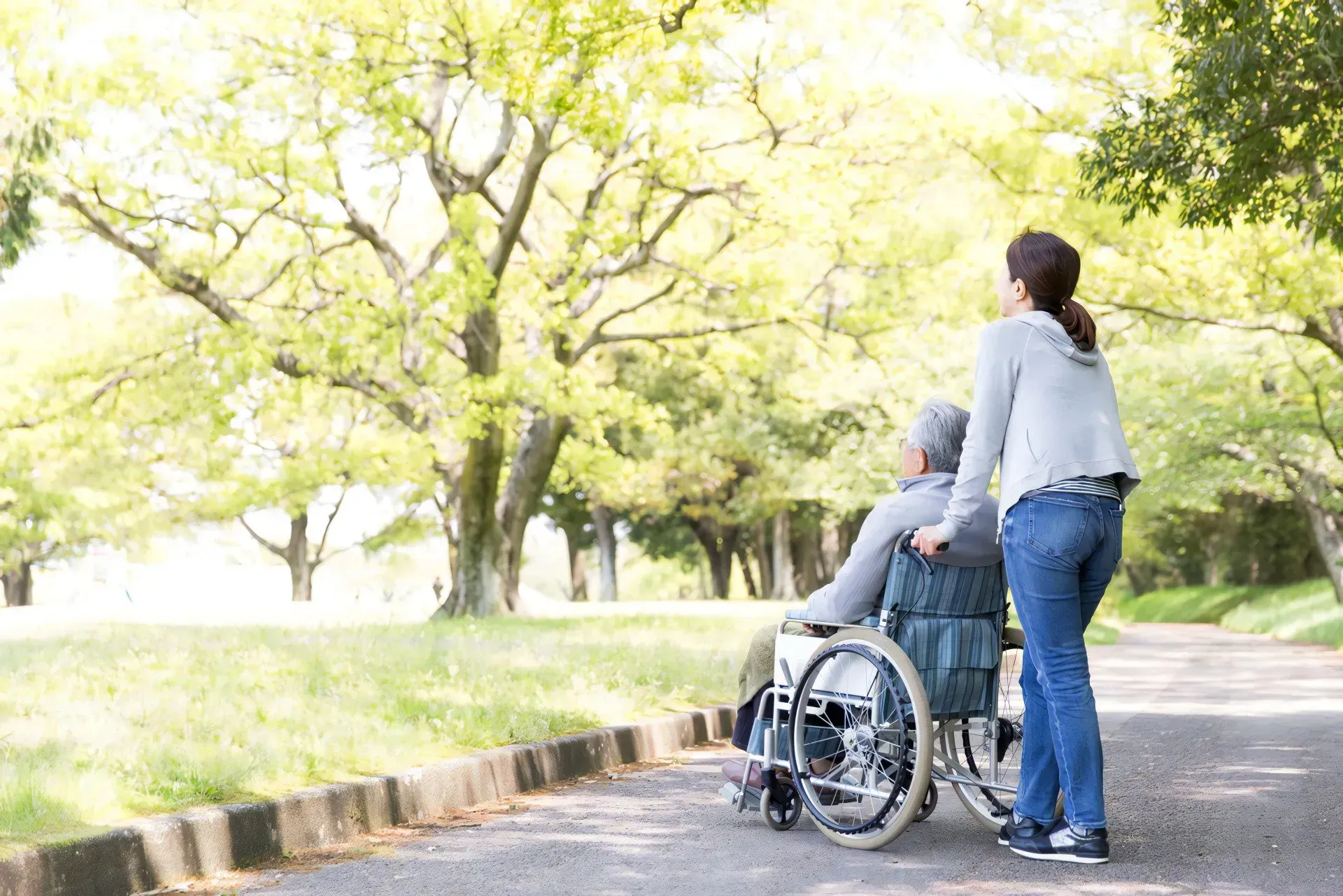 Person Pushes Someone in a Wheelchair — CQ Home Care in Yeppoon, QLD
