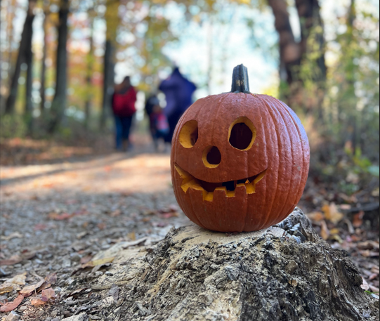 pumpkin