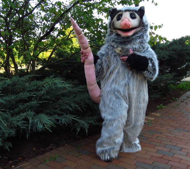 me possum