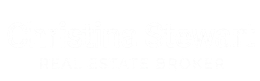 Mostly blank white image with a faint gray horizontal band near the top and a thin black line near the bottom.