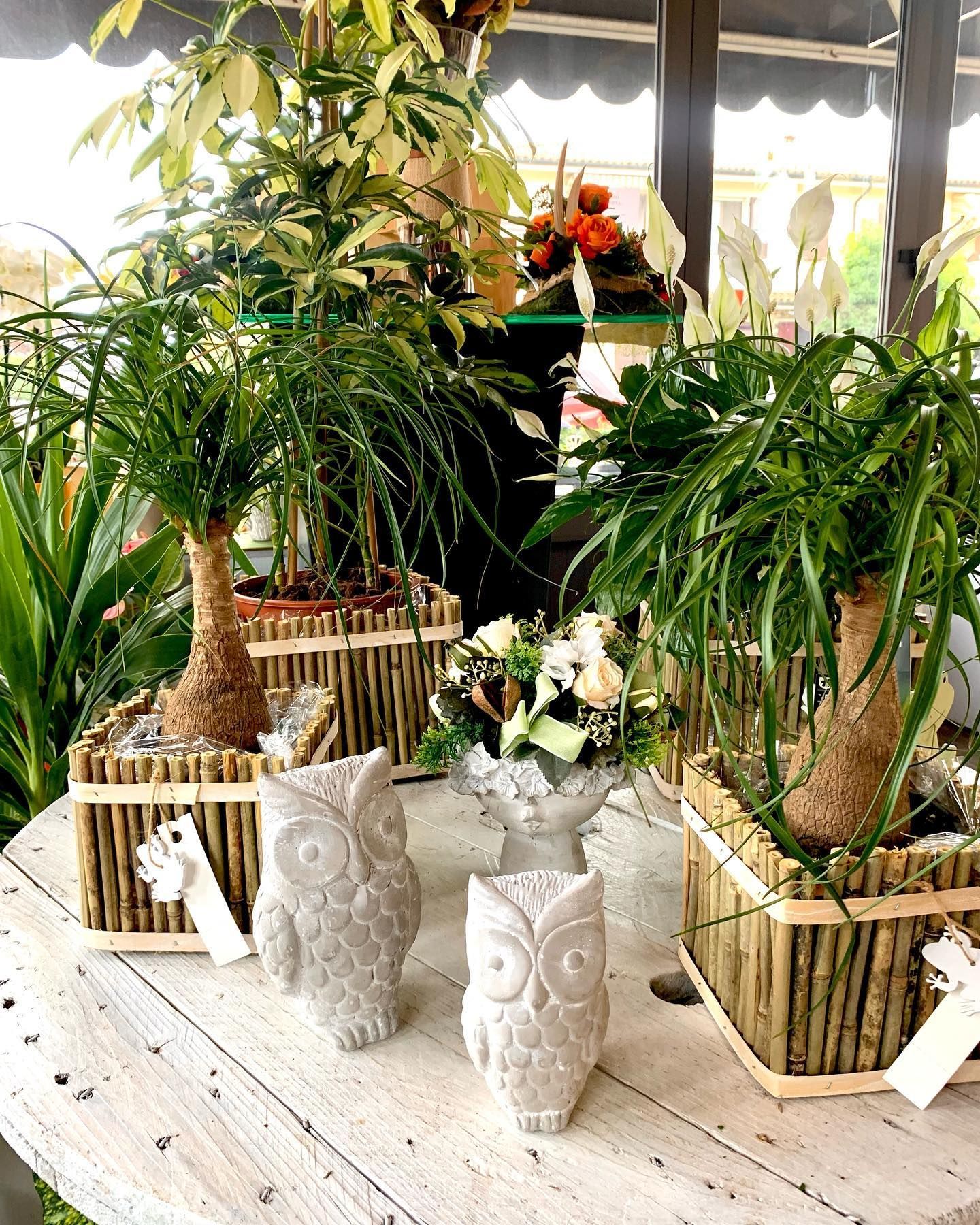 Statuette decorative di gufi bianchi e piante tropicali in vaso su un tavolo rustico da patio.