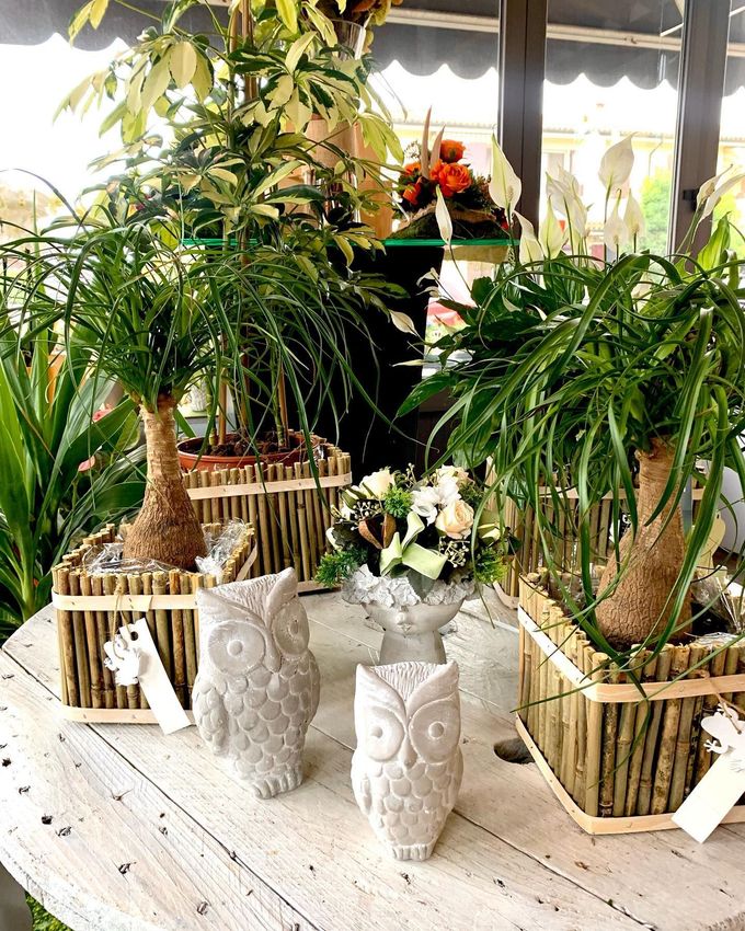 Statuette decorative di gufi bianchi e piante tropicali in vaso su un tavolo rustico da patio.