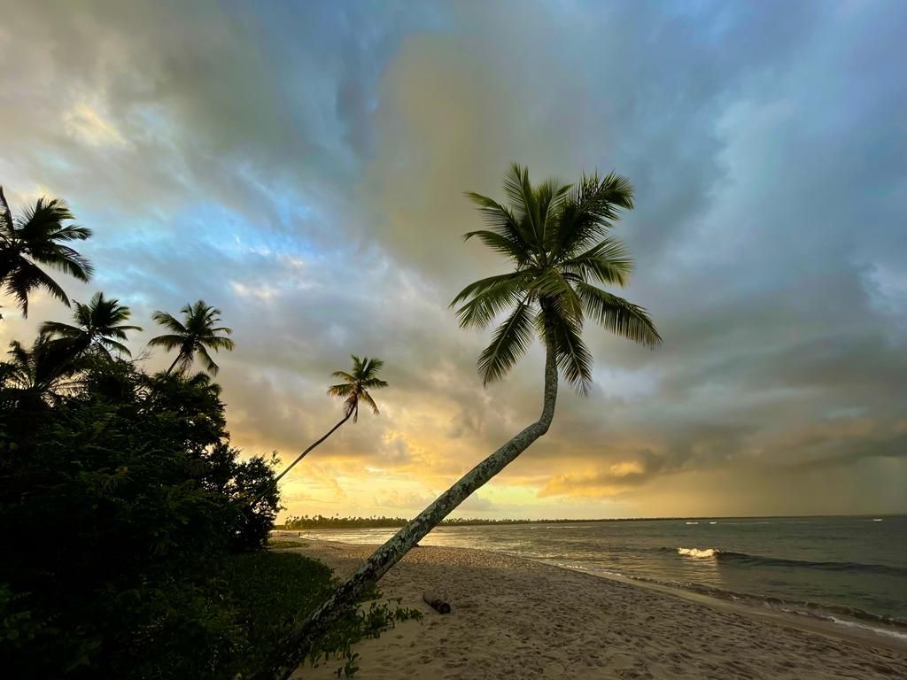Praia ao pôr do sol com palmeiras inclinadas, ondas calmas e um céu dramaticamente nublado.