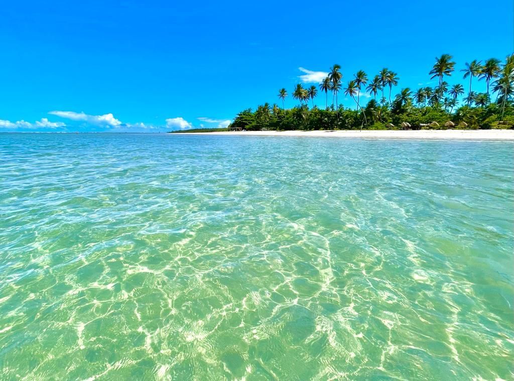 Praia tropical turquesa com água cristalina, areia branca e palmeiras sob um céu azul brilhante.