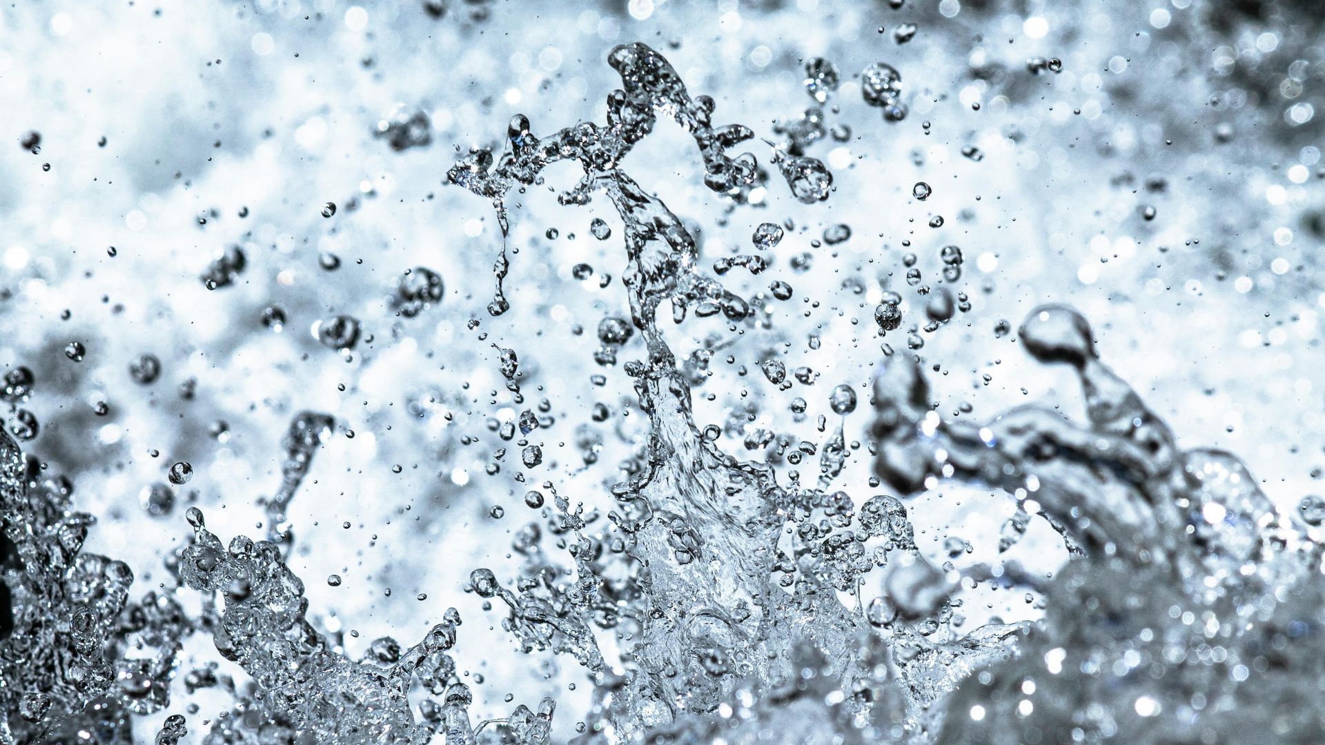 water backup caused by clogged sewer line