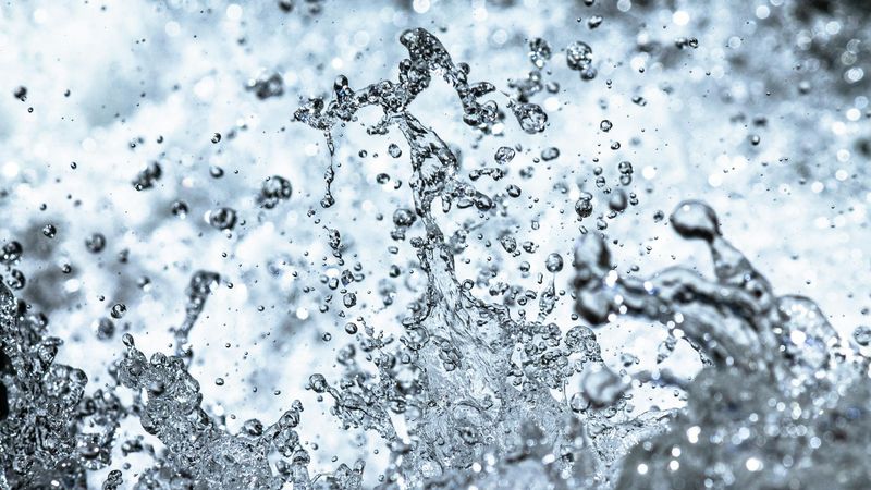 Drain and sewer line cleaning service