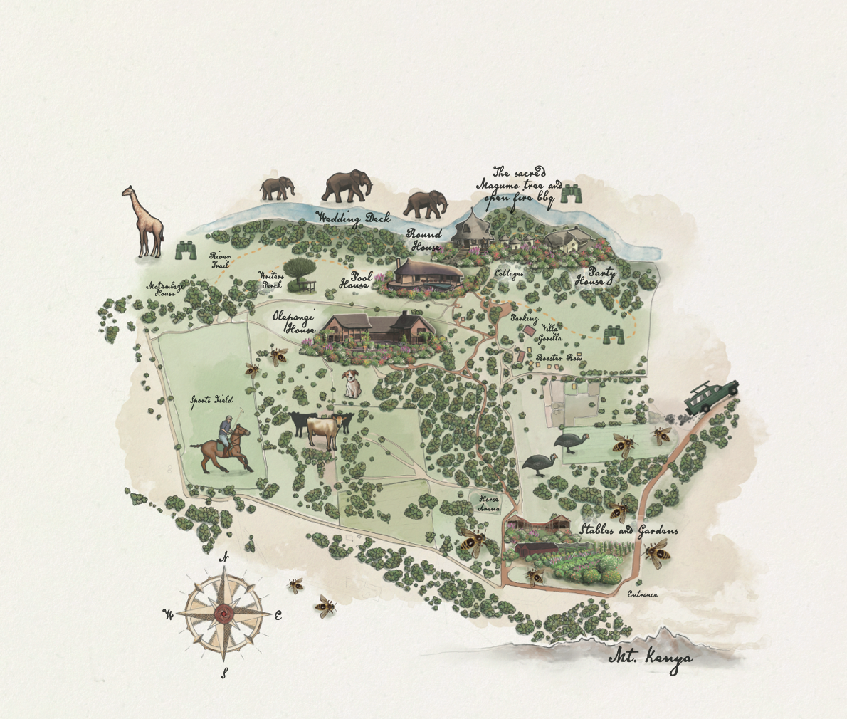 Hand-drawn safari map with elephants, giraffes, trees, and a compass rose on a white background