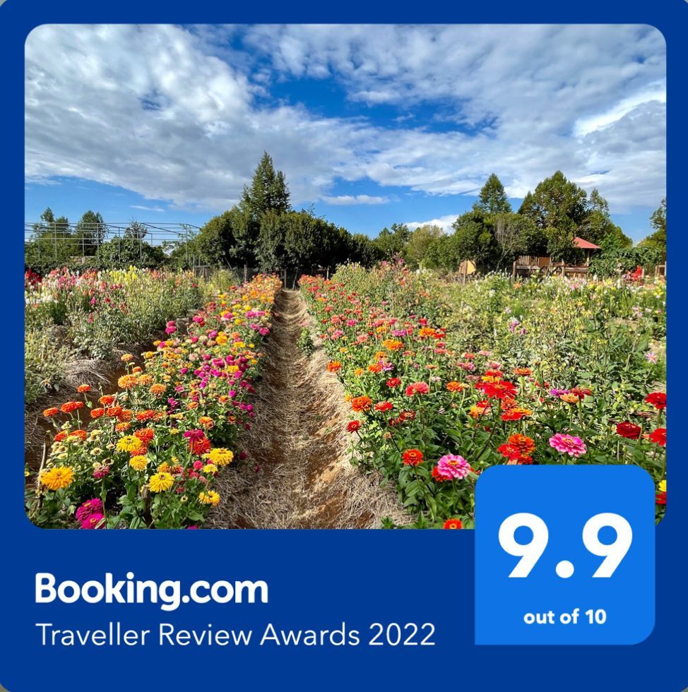 Blooming flower field under a blue sky with Booking.com Traveller Review Awards 2022 9.9 badge