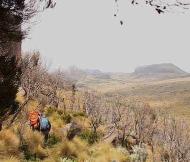 Hiker with orange backpack on a grassy mountain trail overlooking a wide valley