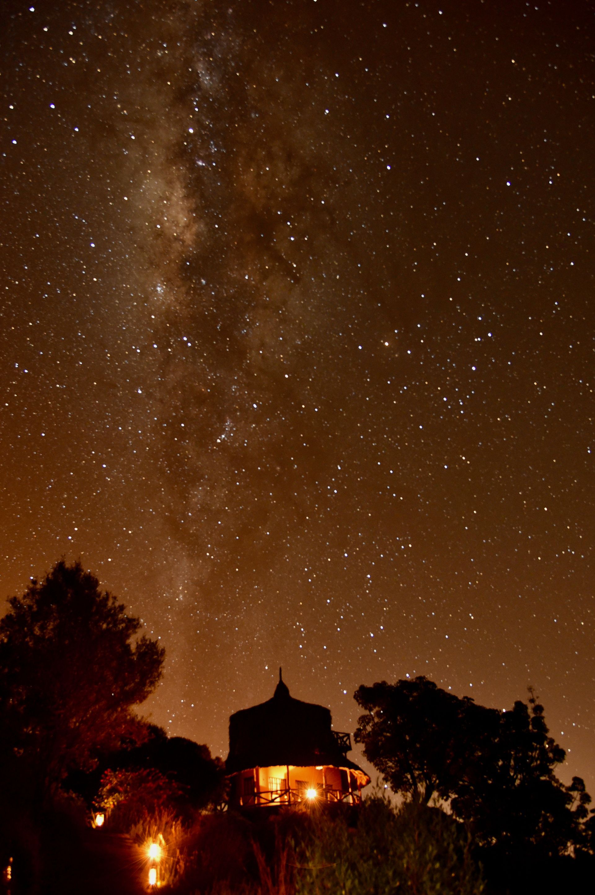 Starry night sky with the Milky Way above silhouetted trees and a warmly lit house