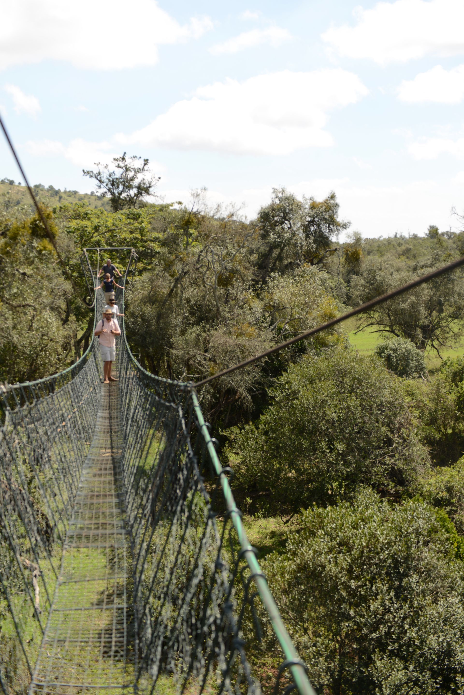 Suspension bridge with netting over a green forest canopy under a partly cloudy sky
