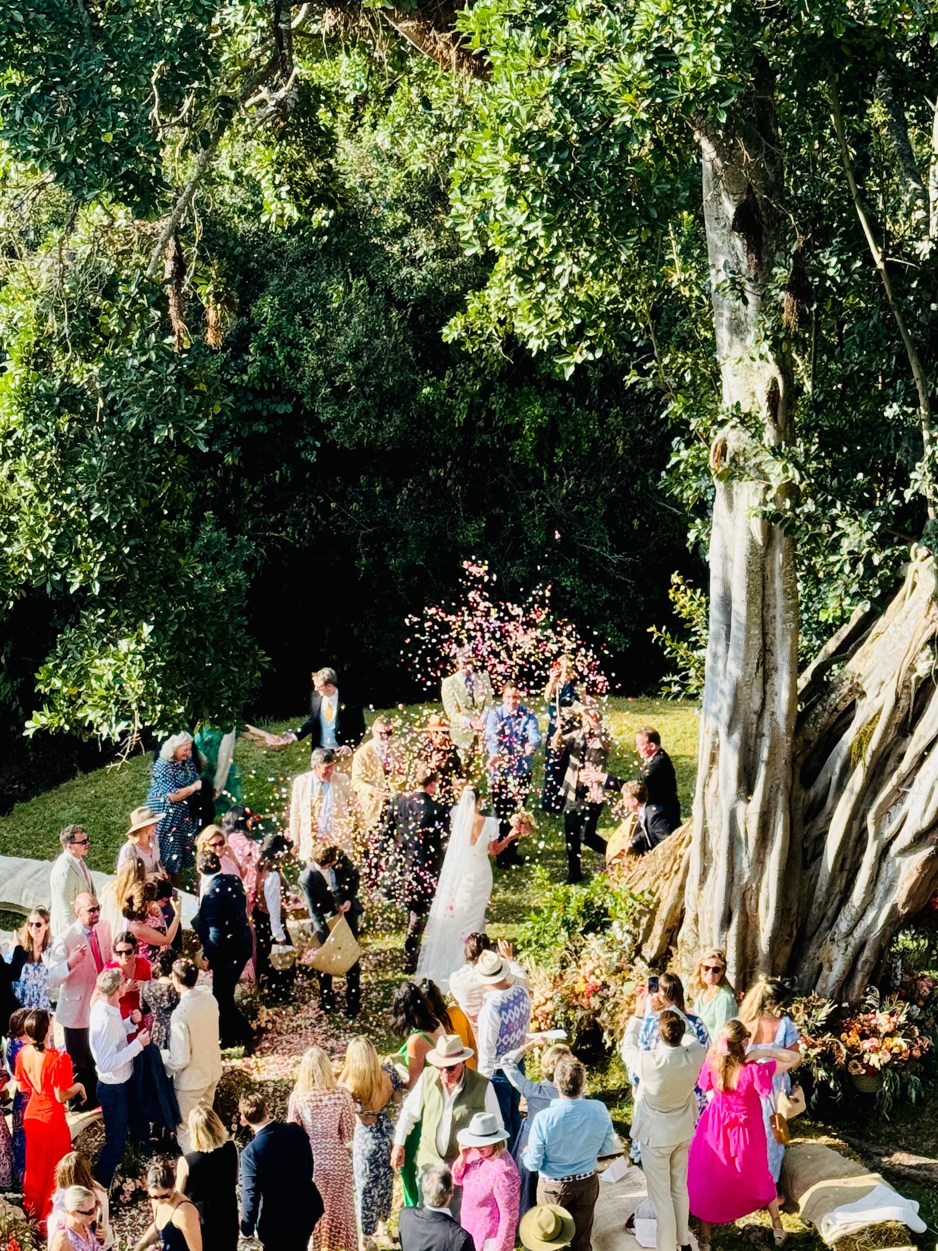 Crowd gathered outdoors around a large tree at a colorful garden celebration