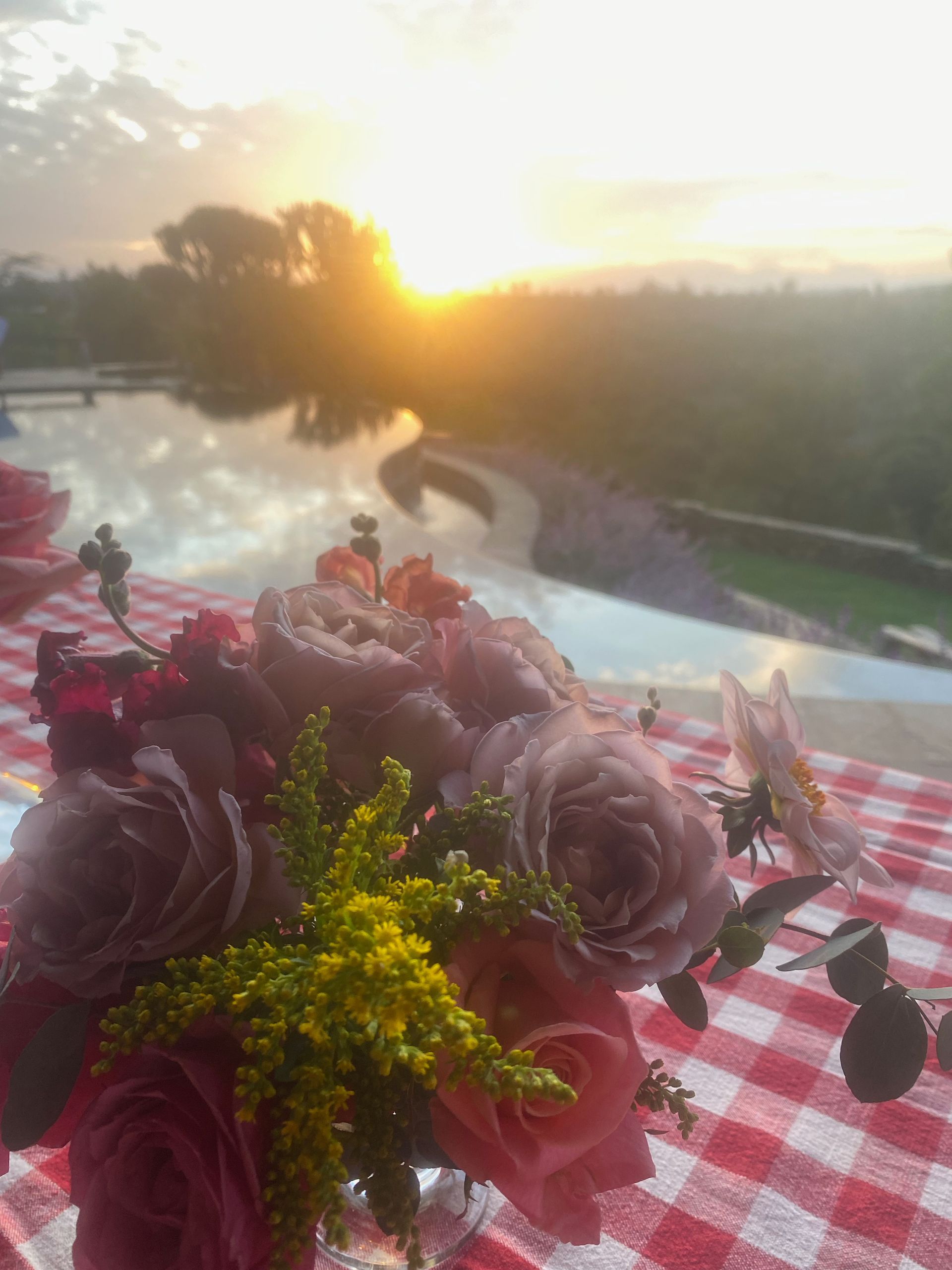 Flowers on a red-and-white checkered tablecloth at sunset, with a lake and trees in the background