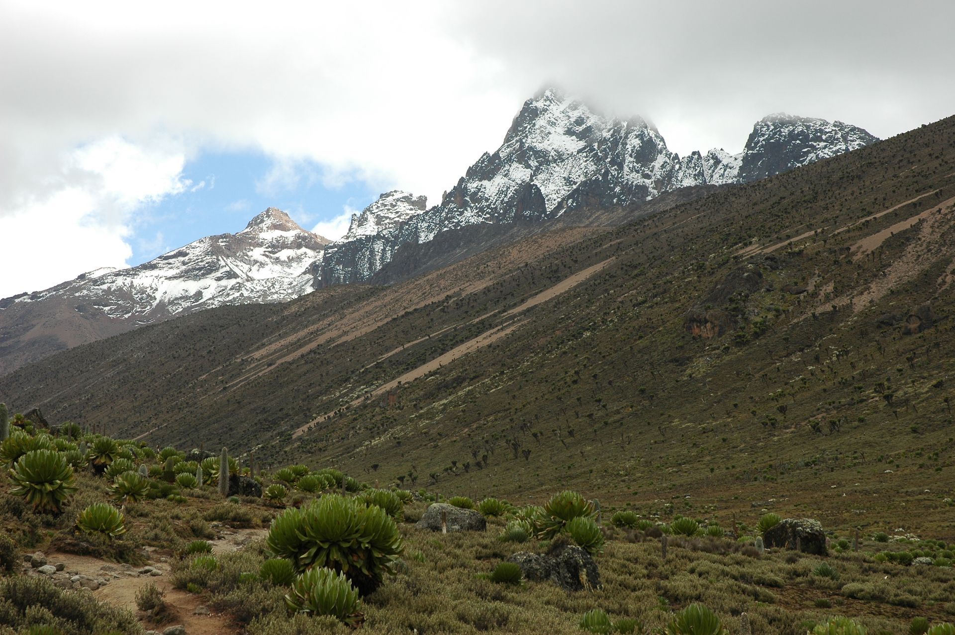 Snow-capped mountain above a rocky hillside with sparse shrubs under a cloudy sky