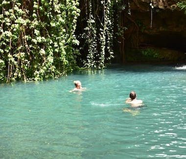 Two swimmers in turquoise water beneath hanging green vines