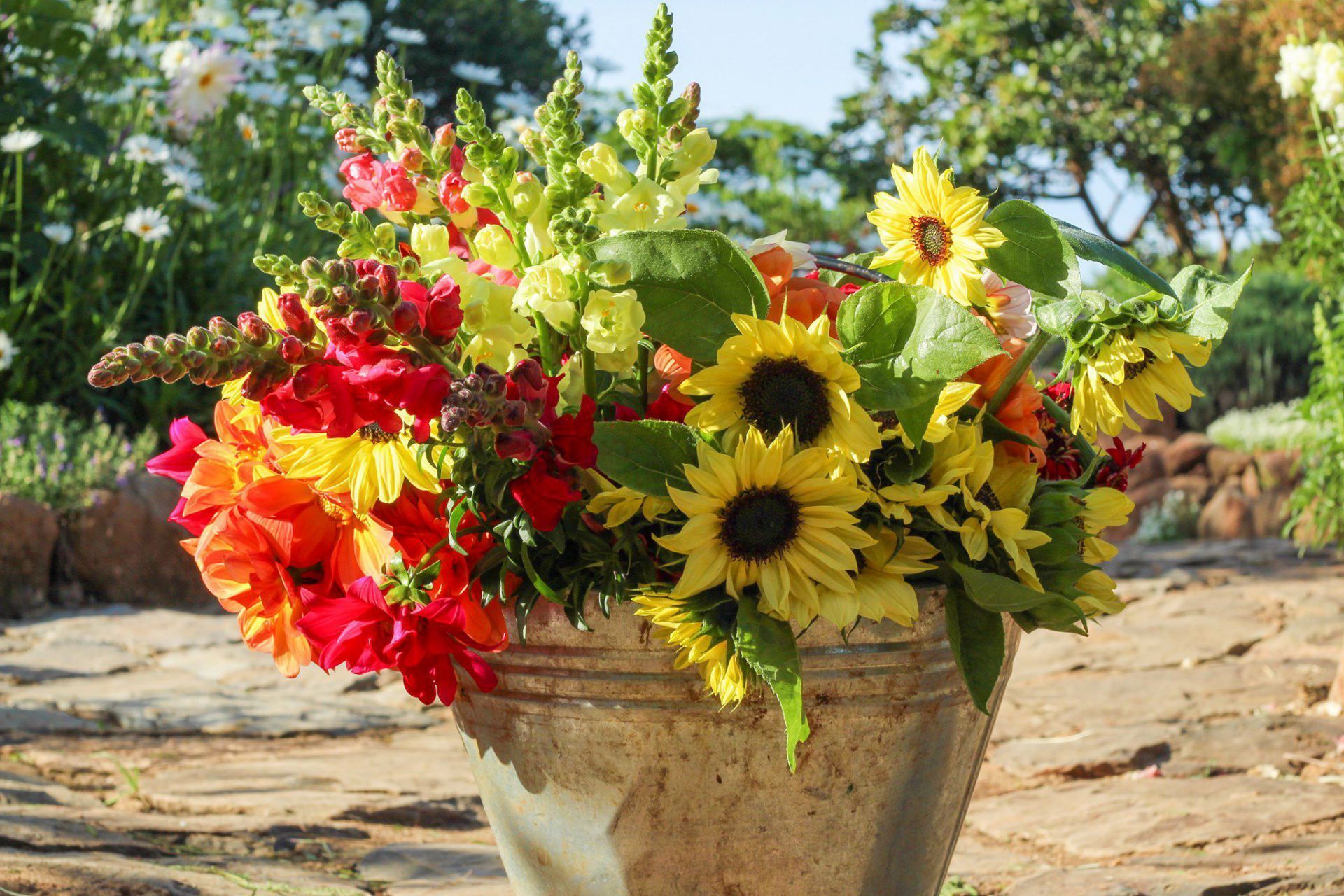 Bouquet of red, yellow, and orange flowers in a rustic vase outdoors on a sunny day
