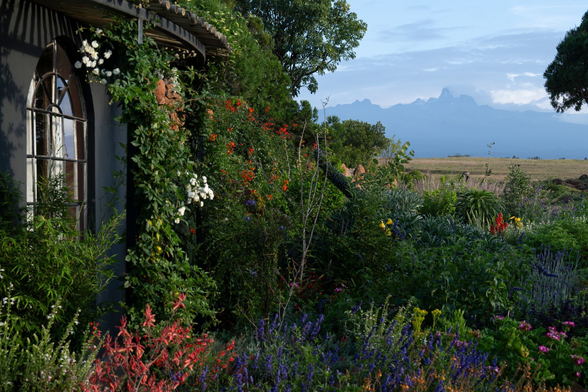 Stone house wall with climbing flowers and lush garden overlooking distant mountains at sunrise