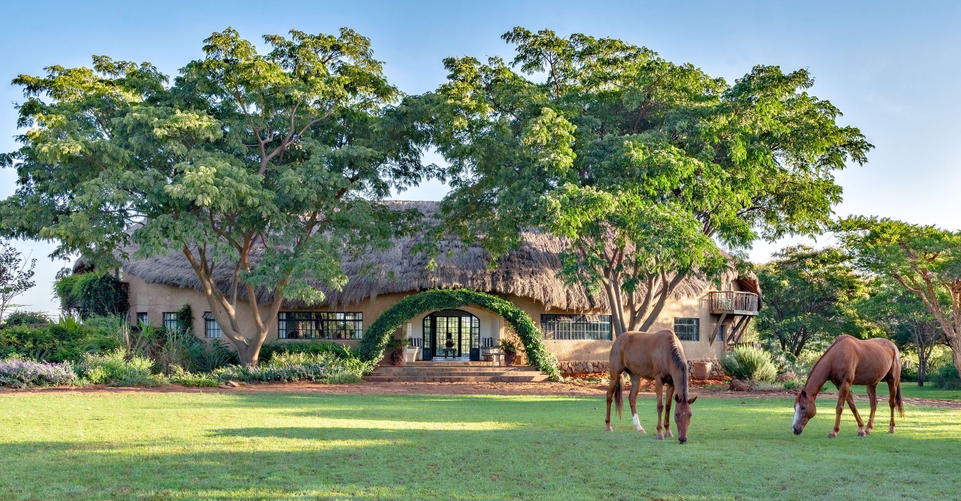 Two horses grazing in a green yard before a house shaded by large trees