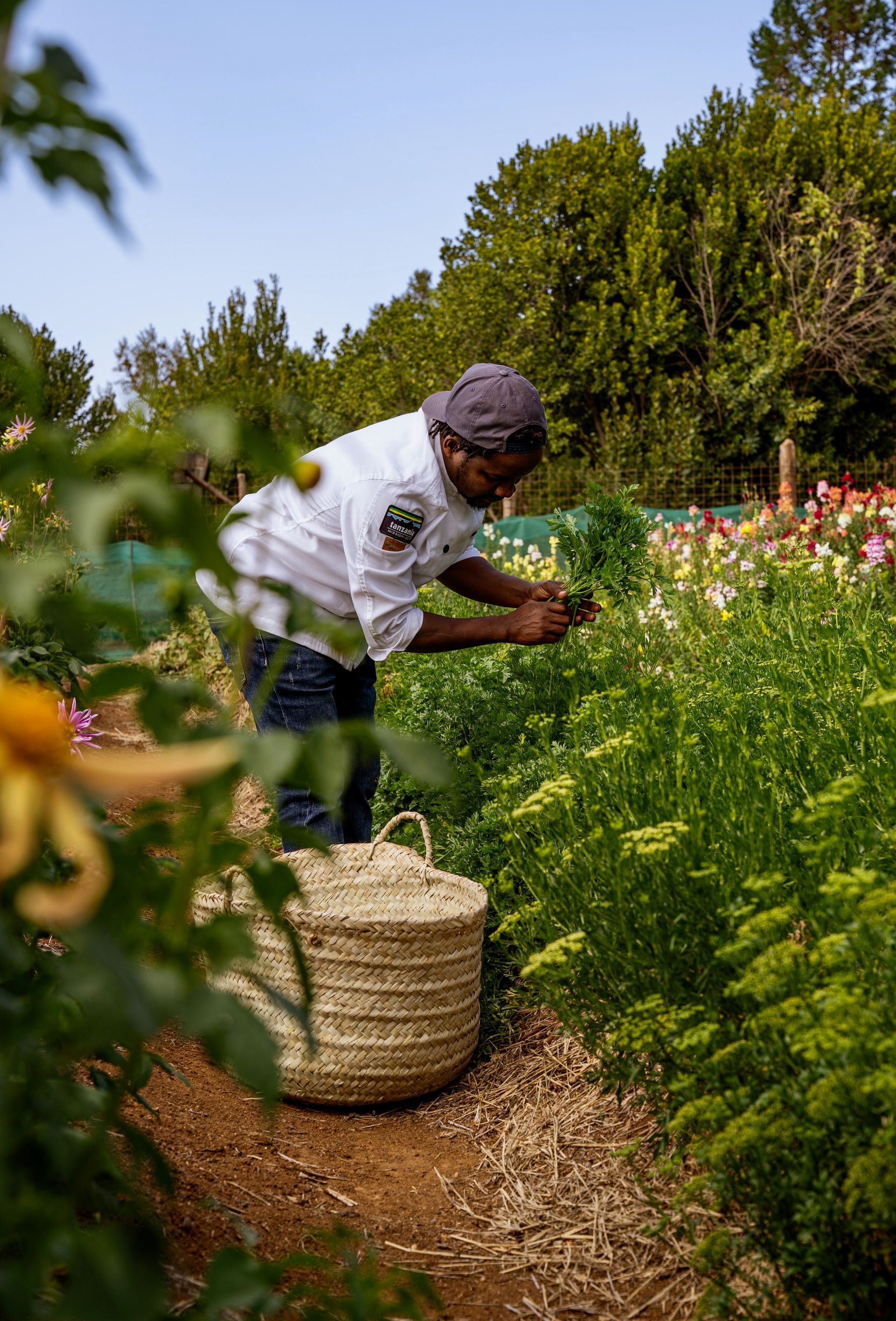 Gardener pruning flowers along a garden path beside a wicker basket in bright sunlight