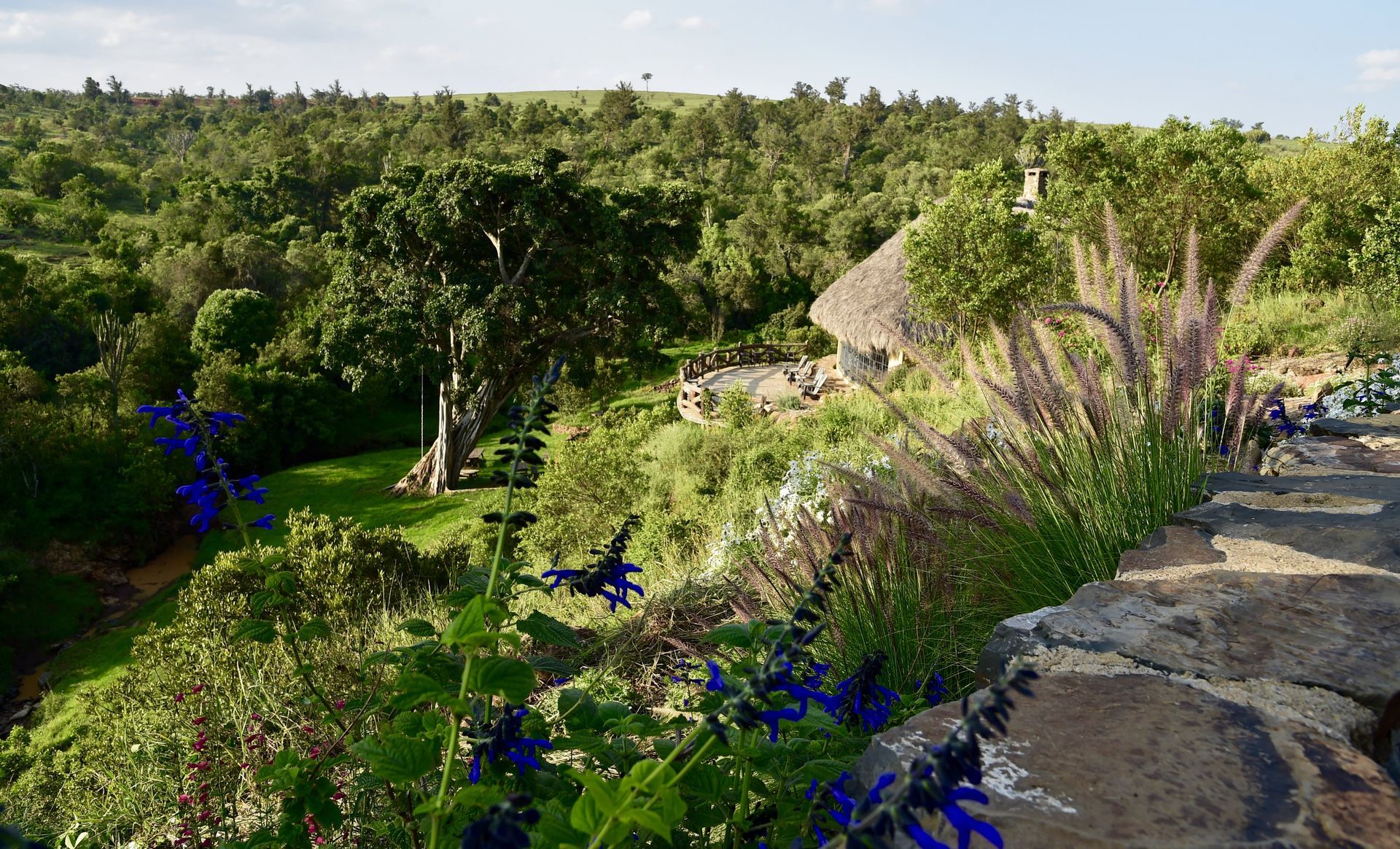 Stone path through lush green garden with flowering shrubs and a thatched structure in the distance