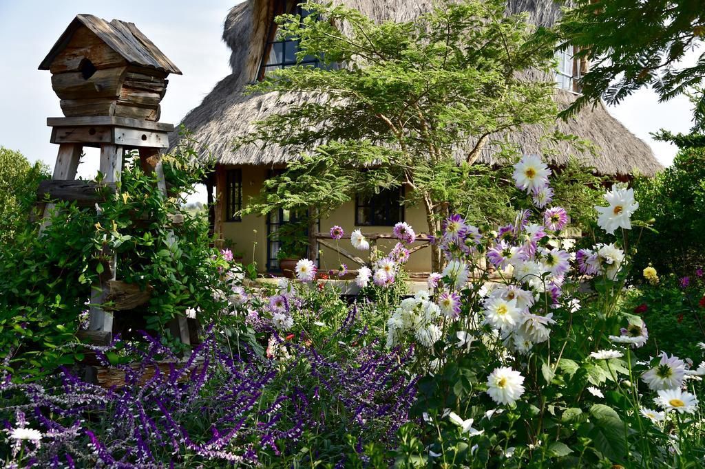 Cottage garden with purple and white flowers, greenery, and a rustic stone house in the background