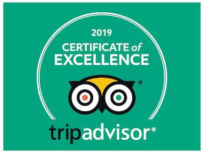 2019 TripAdvisor Certificate of Excellence logo on green background with owl icon