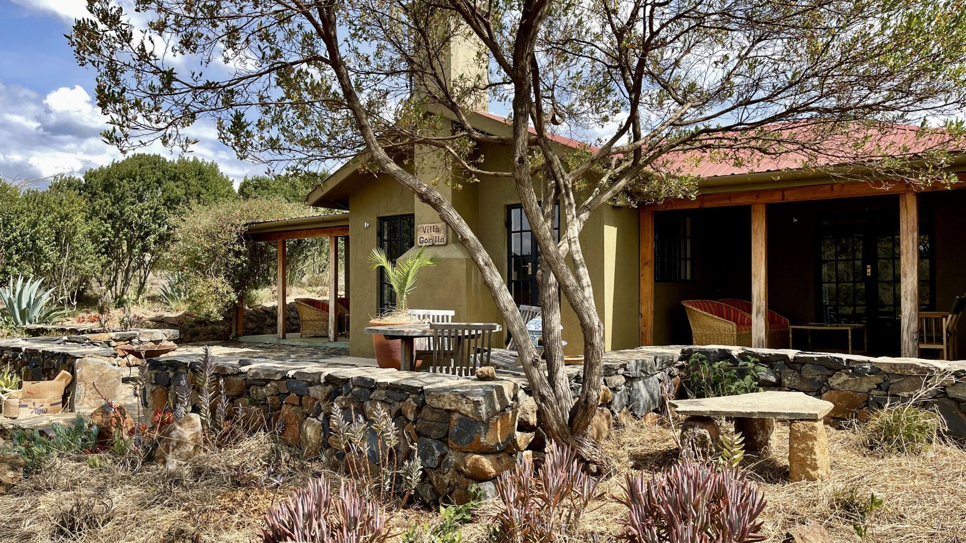 Rustic house with stone patio and trees in a sunny garden