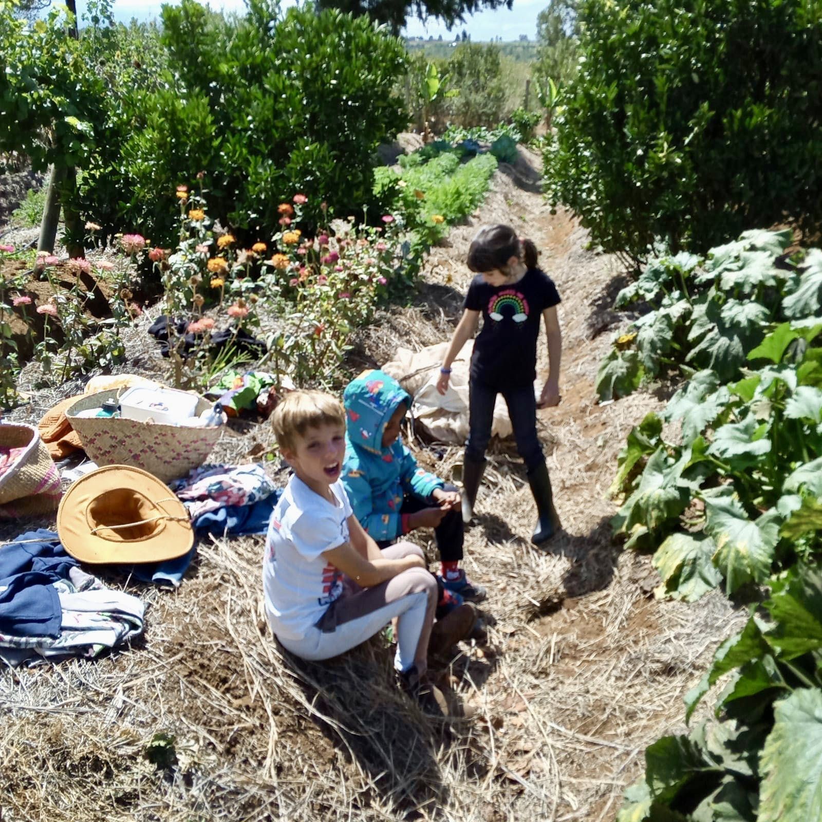 Children sitting and standing in a sunny garden among flowers and straw mulch