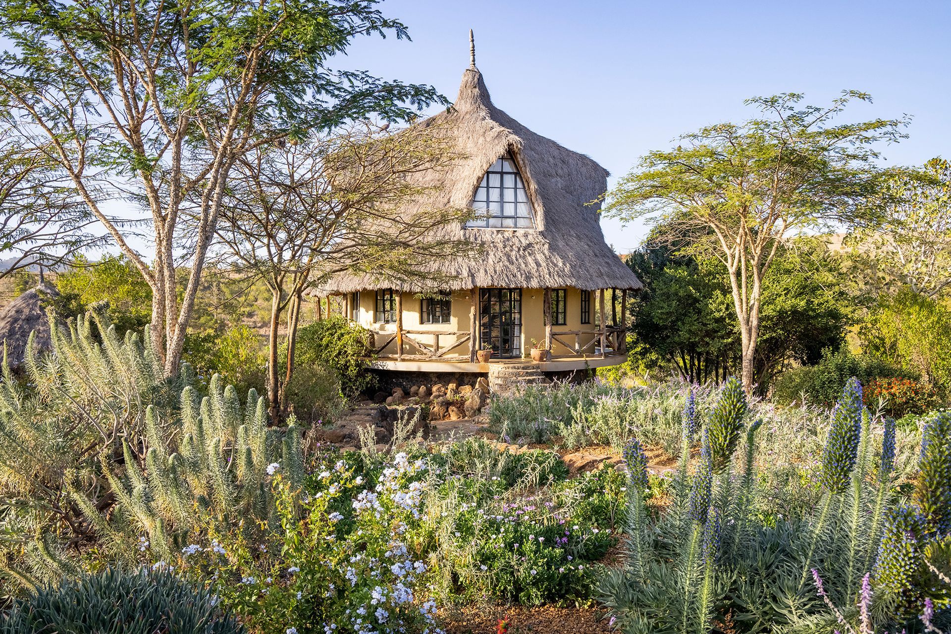 Thatched cottage amid lush garden and trees in warm sunlight