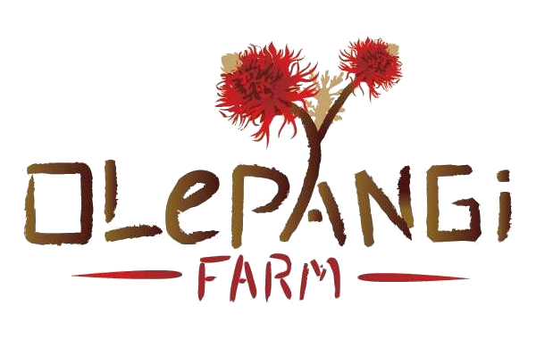 Olepangi Farm | Book Now