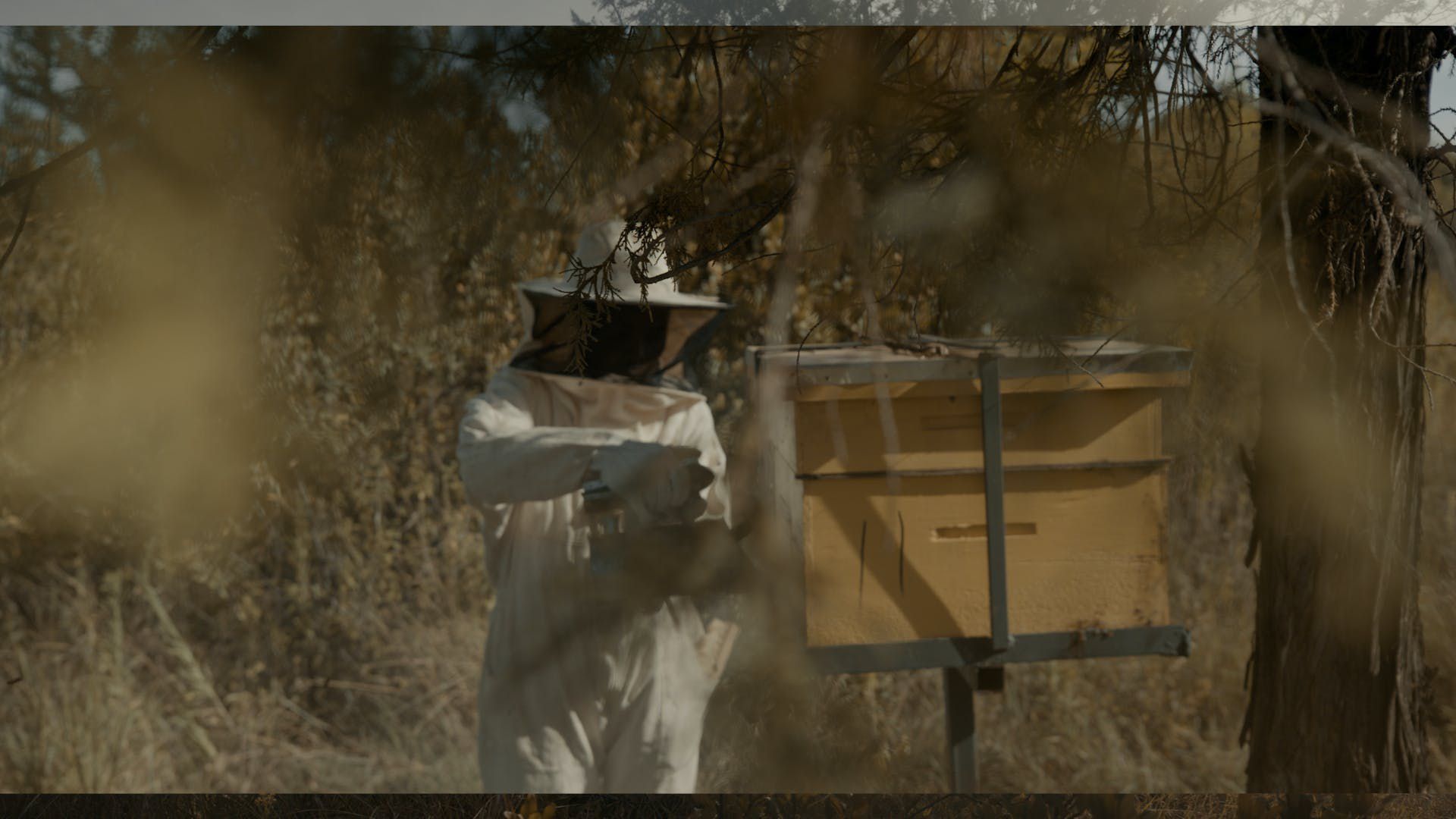 Person in white clothing by a yellow beehive box under trees, outdoors