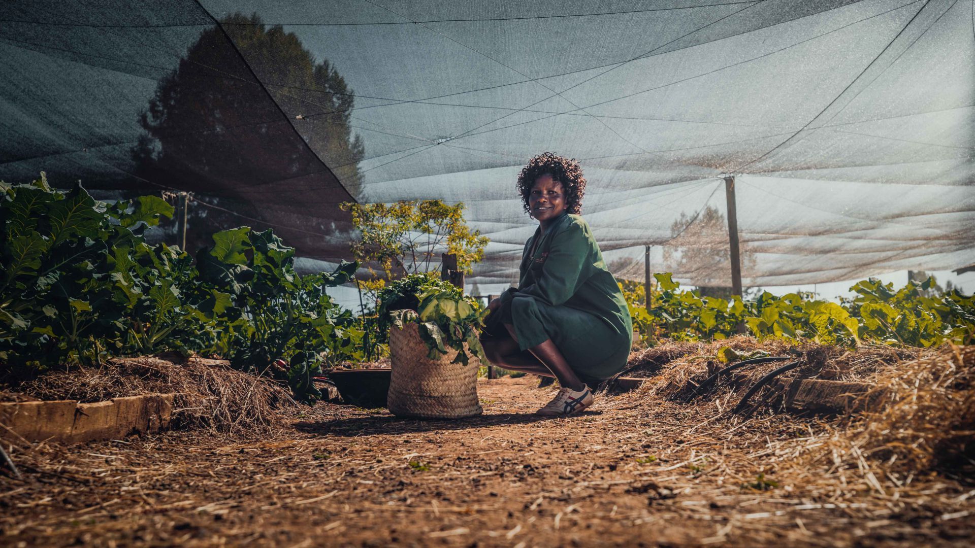Woman crouching beside potted plants under a mesh shade canopy in a garden nursery.