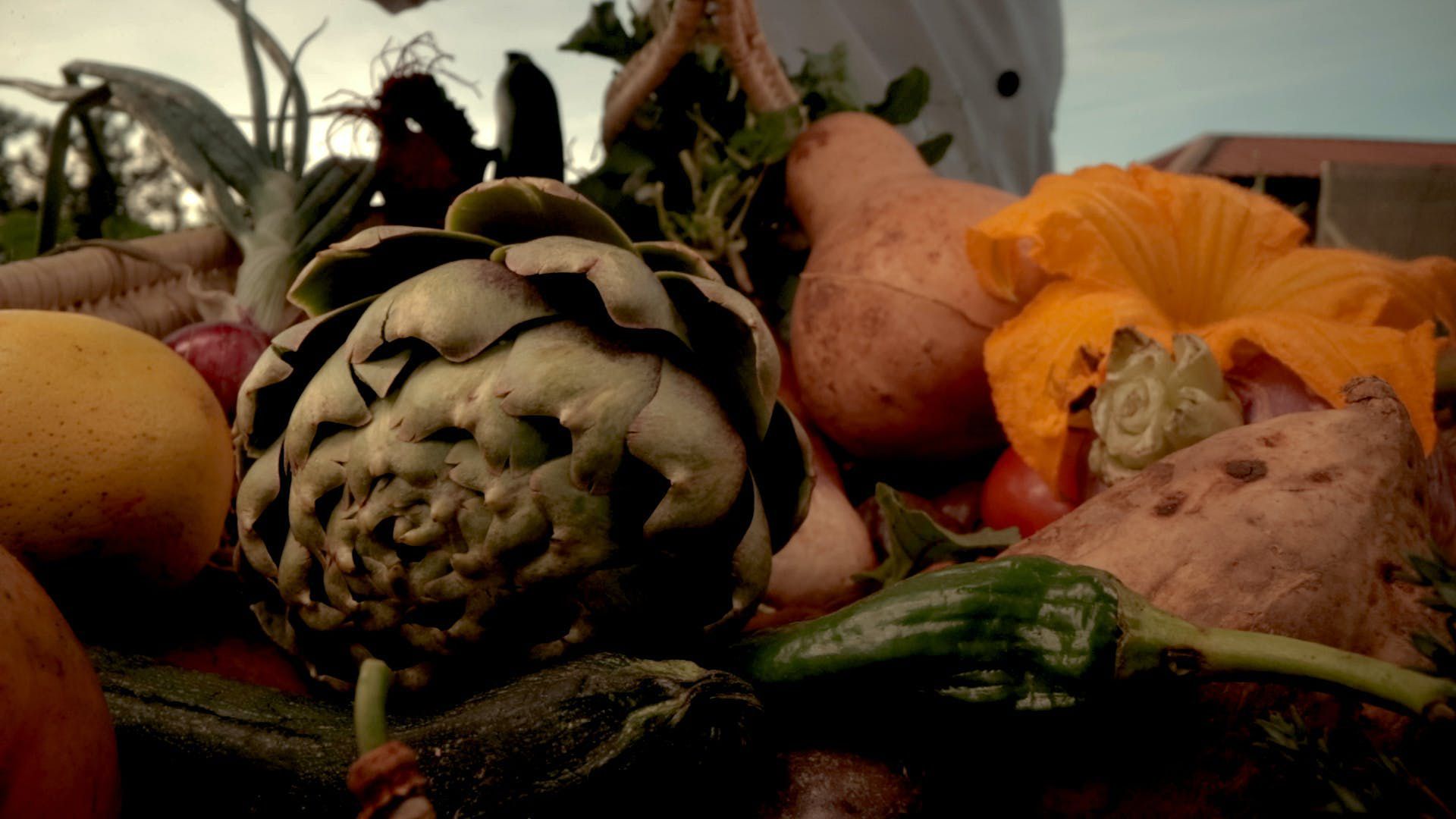 Assorted gourds and pumpkins in a harvest display, with a carved jack-o'-lantern at center-right