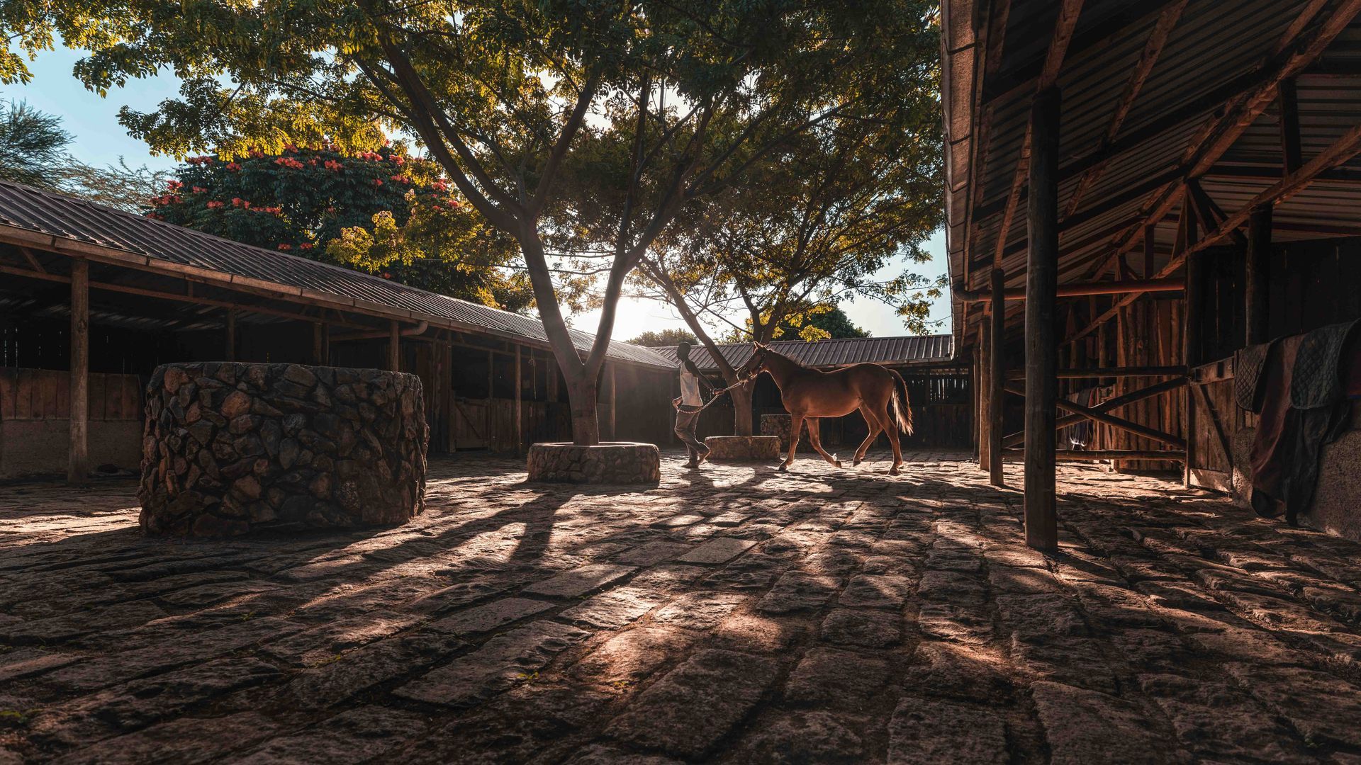 Shaded farmyard with rustic buildings, dirt ground, and sunlight filtering through trees