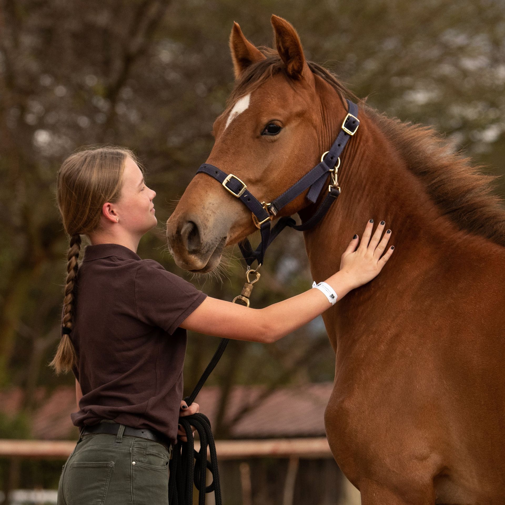 Girl gently petting a brown horse outdoors, both facing each other