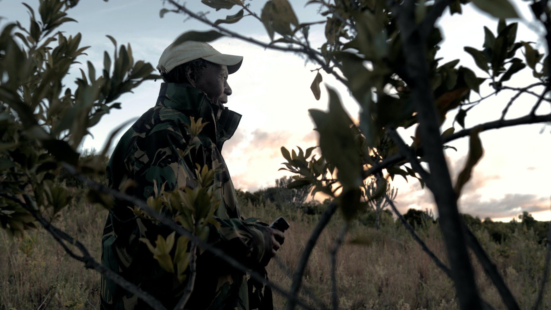 Soldier in camouflage and helmet crouches in tall grass at dusk, partially obscured by branches